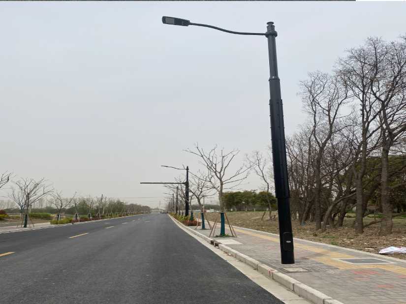 美兰区上海综合杆 太阳能路灯工程